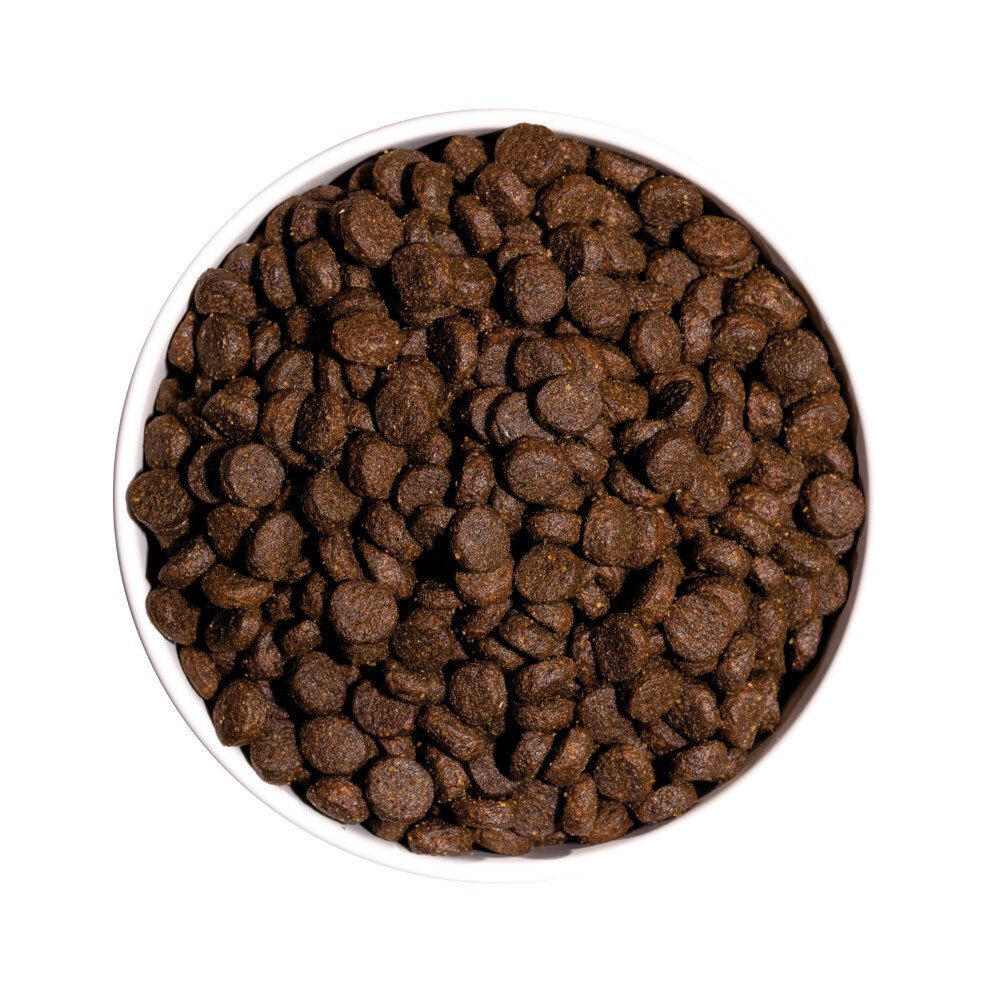 Hondenbrokken in een witte kom. Brokken zijn bruin en rond.