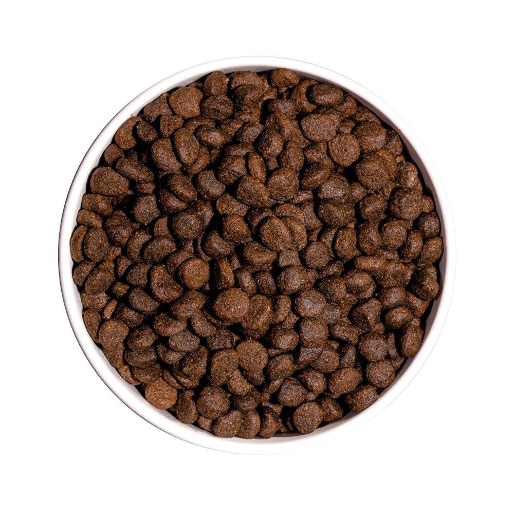 Bruine, ronde brokjes in een witte kom. Bovenaanzicht. De brokjes zijn dicht opeengepakt.