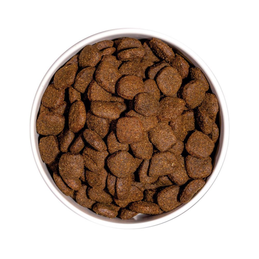 Hondenvoer in een witte kom. Bruine, ronde brokjes. Bovenaanzicht.
