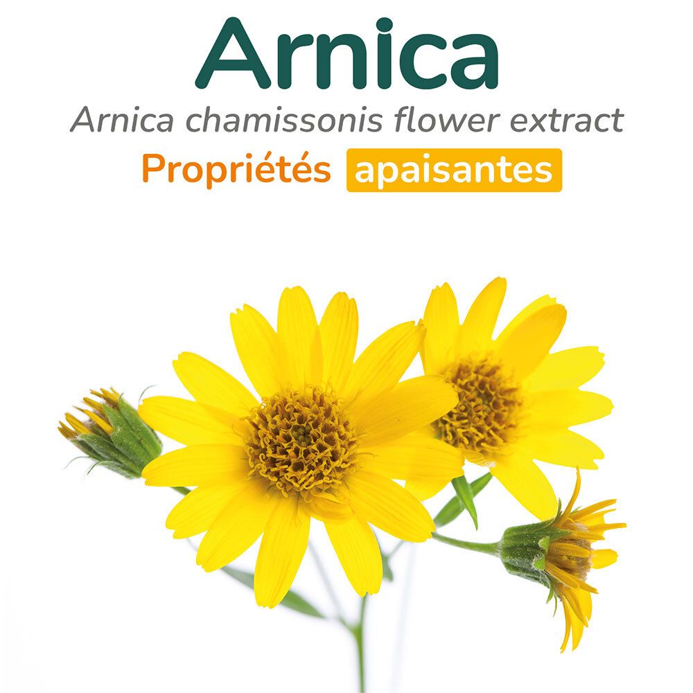 Close-up van gele arnicabloemen. Tekst: Arnica, Arnica chamissonis bloemenextract, verzachtende eigenschappen.