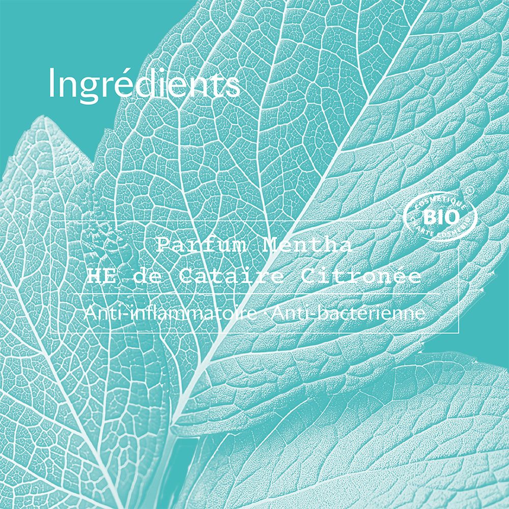 Motif de feuille. Ingrédients : Parfum Mentha, HE de Cataire Citronnée. Anti-inflammatoire, antibactérien. Certification bio.