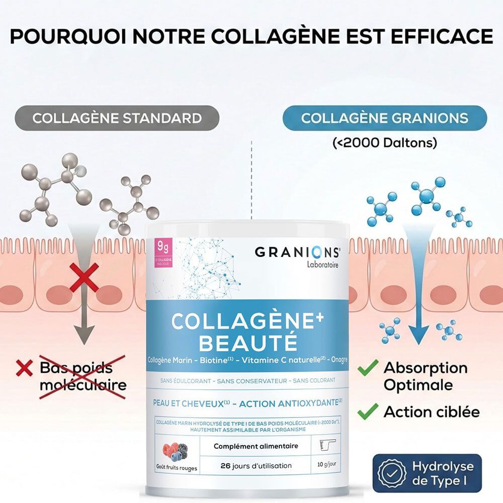Vergelijking van standaard collageen met GRANIONS Collageen + Schoonheid: moleculair gewicht en absorptie.