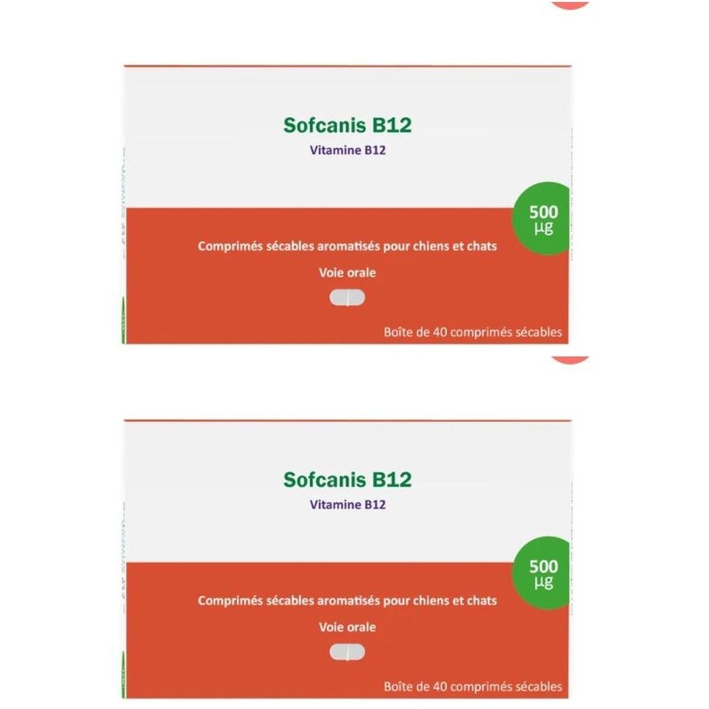 Sofcanis B12 Vitamine B12, 500 µg. Comprimés sécables pour chiens et chats. Boîte de 40.