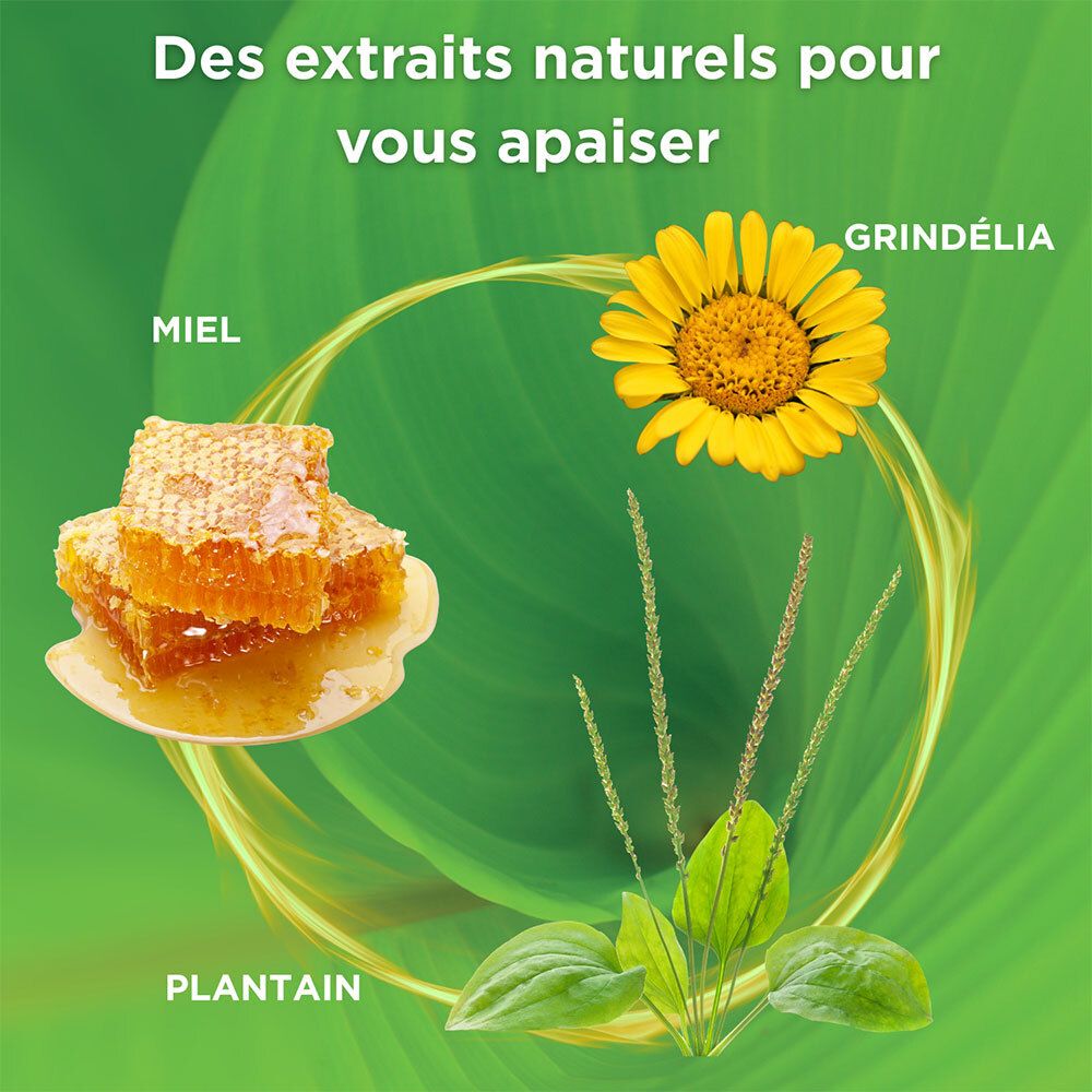 Honingraat, zonnebloem, weegbree en Grindelia-bloemen. Groene en gele elementen.