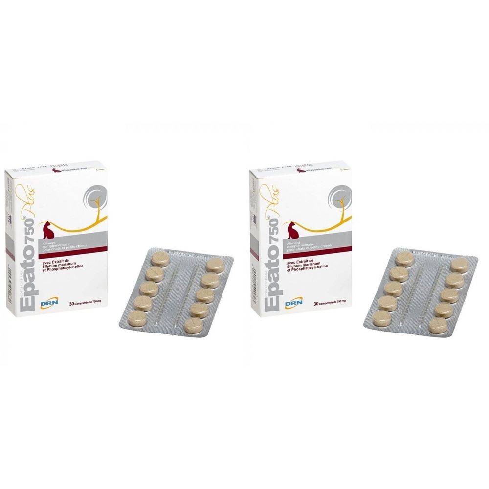 Deux boîtes et deux plaquettes de comprimés. Les boîtes indiquent "Epato 750".