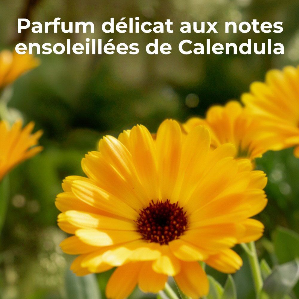 Gele bloemen op de voorgrond. Tekst: Delicate geur met zonnige Calendula-noten.