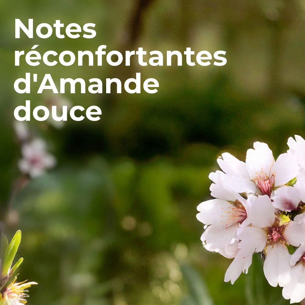Gros plan de fleurs d'amandier avec texte 'Notes réconfortantes d'Amande douce'.