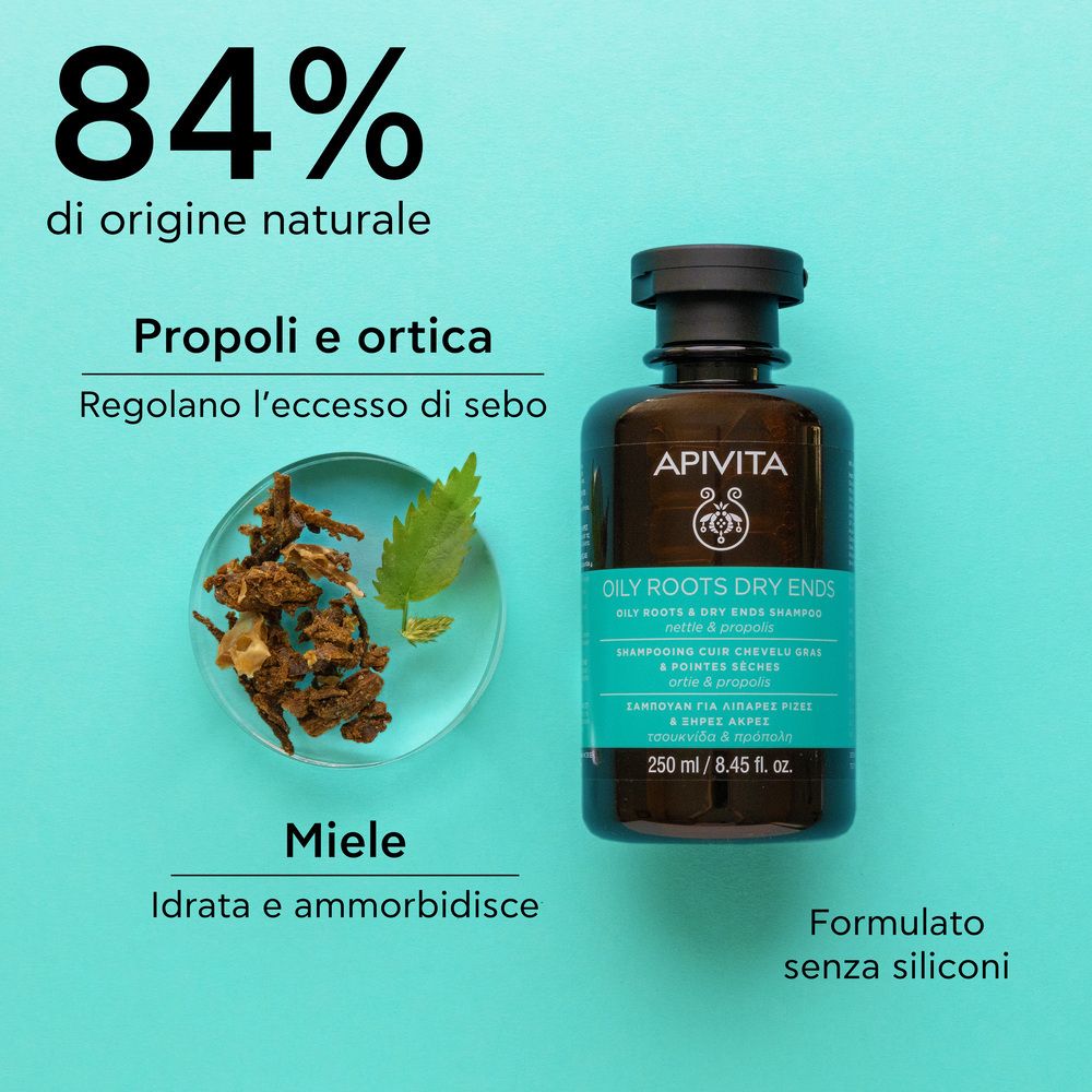 Bouteille de shampoing Apivita 250 ml pour racines grasses et pointes sèches.