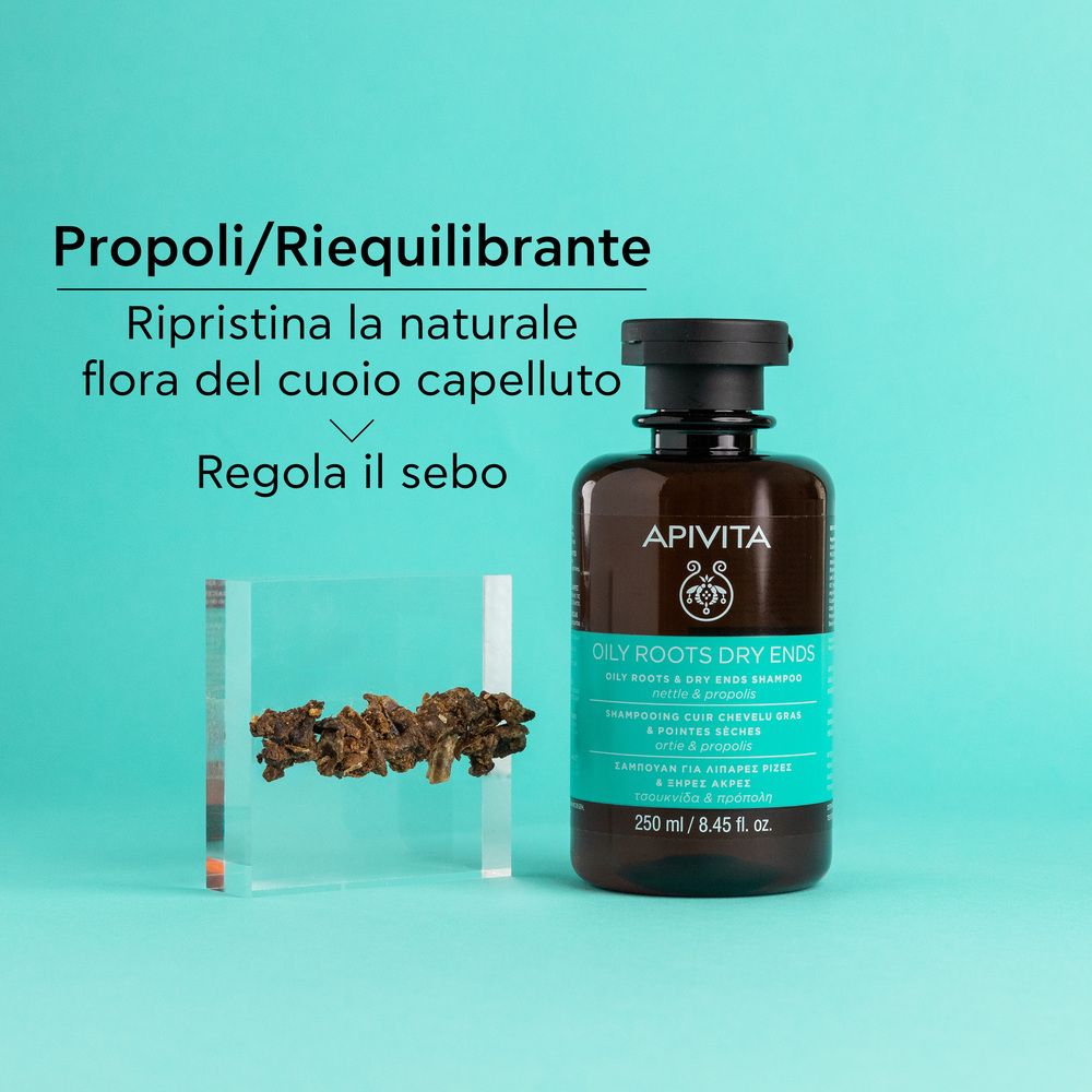 Bouteille de shampoing Apivita pour racines grasses et pointes sèches, 250 ml.