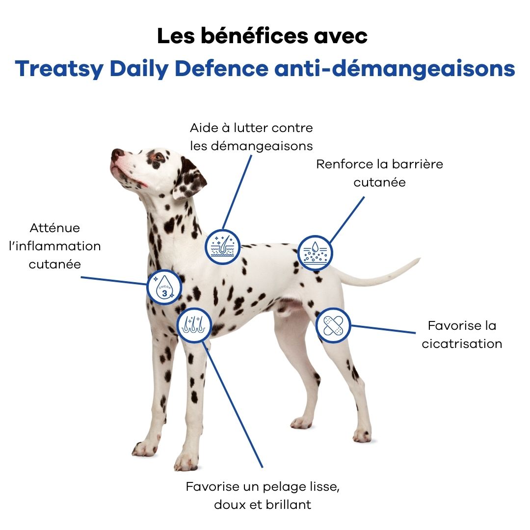 Infographie avec chien dalmatien. Avantages Treatsy Daily Defence: peau, pelage, inflammation, cicatrisation.