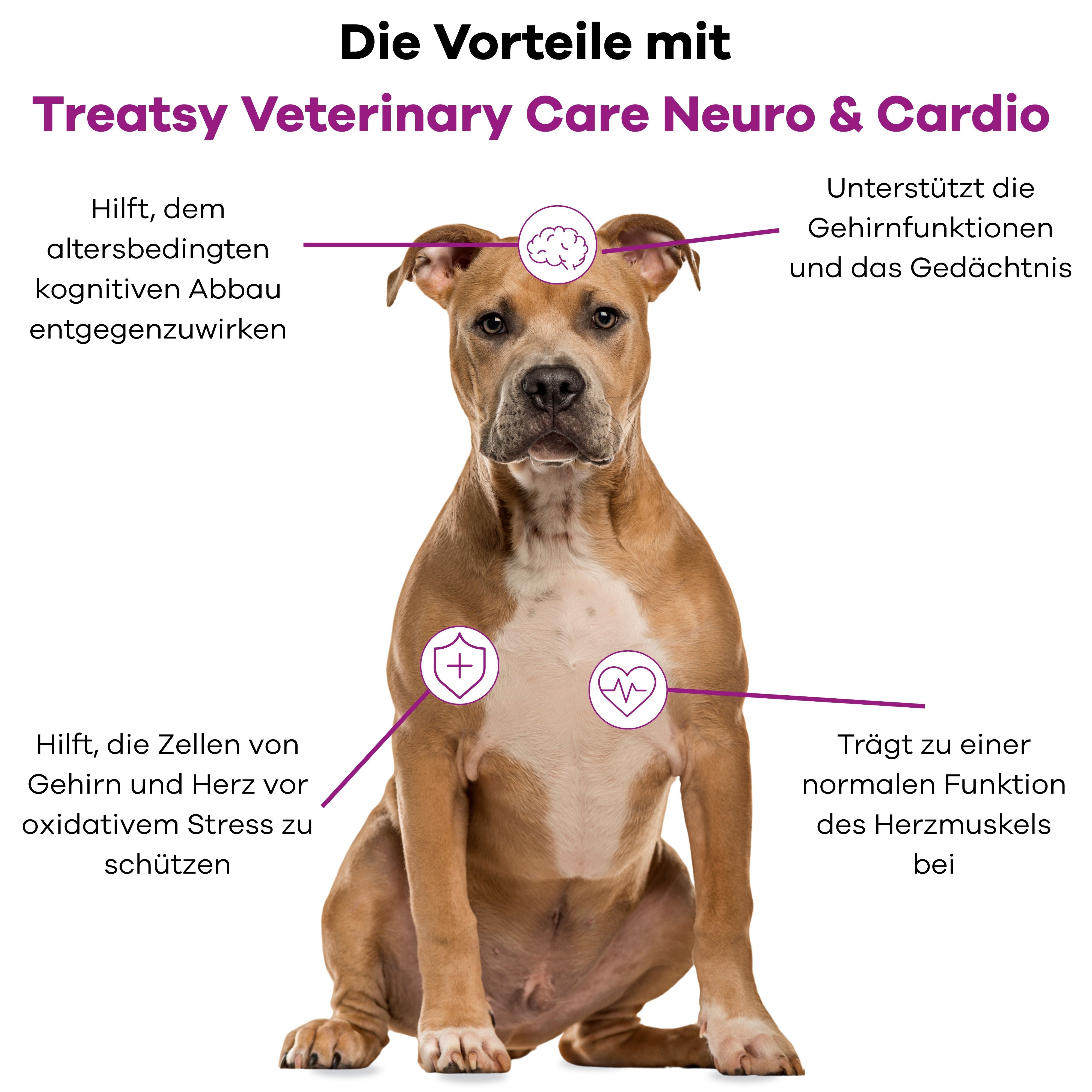 Hond met diagram. Voordelen van Treatsy Veterinary Care Neuro & Cardio. Tekst en symbolen voor hersenen en hart.