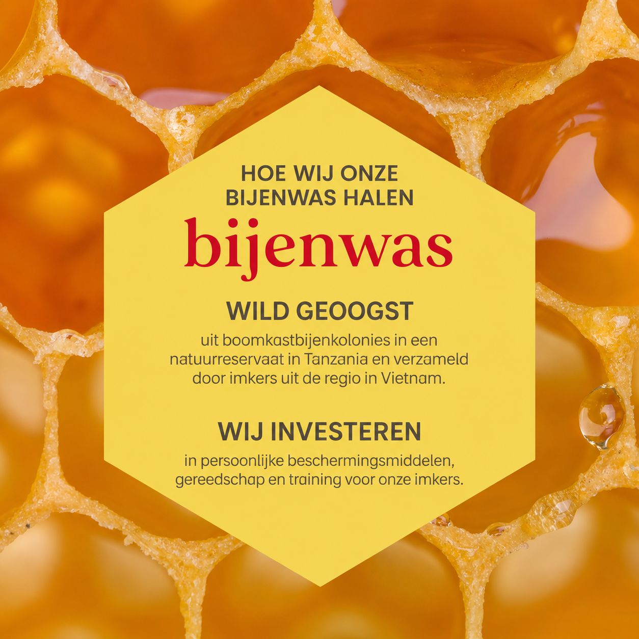 Bijenkorven met vloeibare honing en een geel, zeshoekig informatieveld over bijenwas.