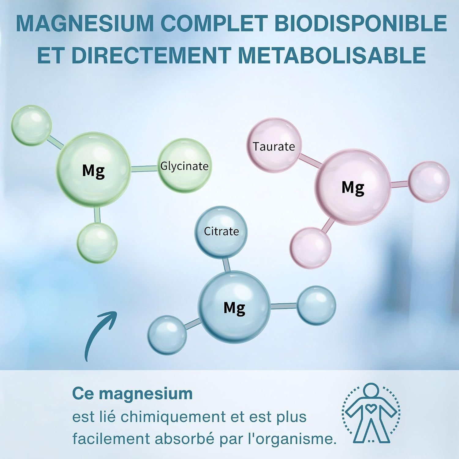 Molécules de magnésium avec glycinate, citrate et taurate. Formules de structure chimique.