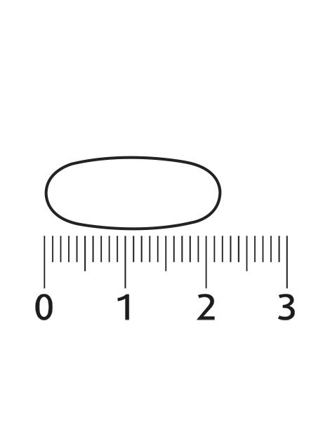 Een ovale capsule, afgebeeld naast een liniaal met centimeter markeringen. De capsule is ongeveer 2 cm lang.