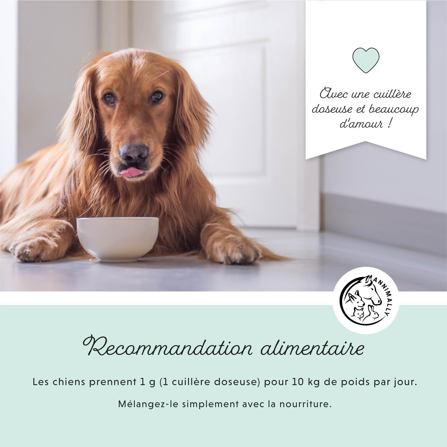 Golden Retriever avec bol. Texte: Recommandation alimentaire. Logo. Texte: Avec une cuillère doseuse et beaucoup d'amour!