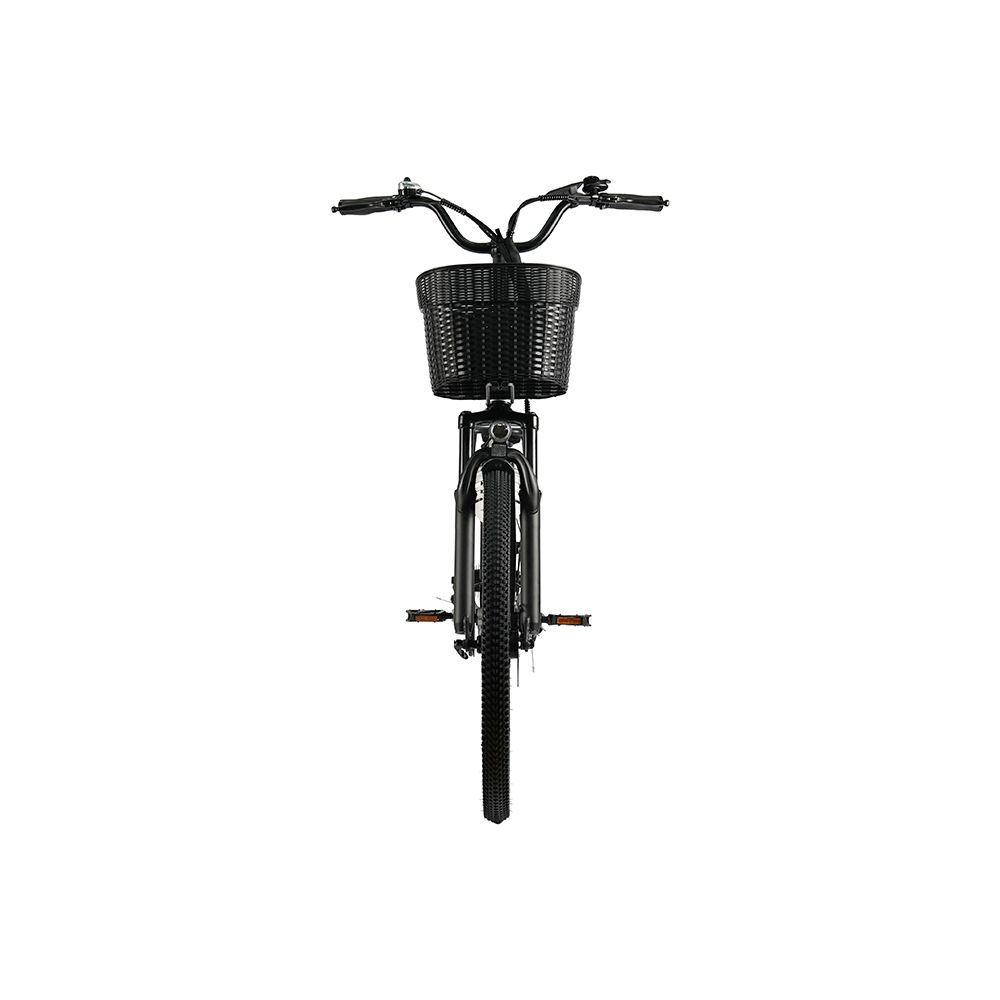 Vélo électrique noir vu de face. Panier, guidon, roue avant et garde-boue sont visibles.