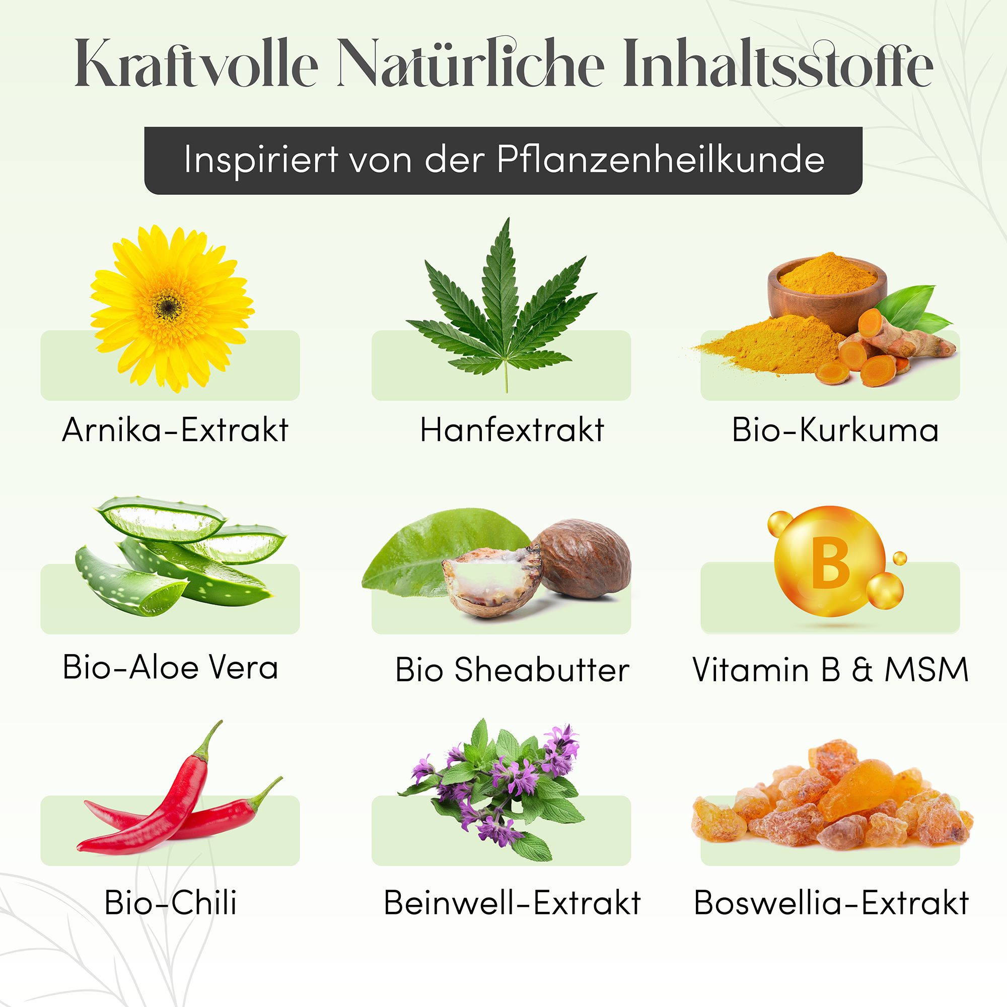 Illustraties van ingrediënten: arnica, hennep, kurkuma, aloë vera, sheaboter, vitamine B, chili, smeerwortel, boswellia. Geïnspireerd door kruidengeneeskunde.