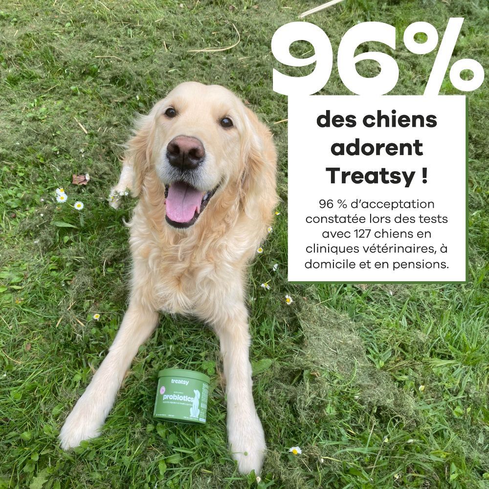 Tableau des recommandations alimentaires. Quantité journalière selon le poids du chien. 60 friandises en forme d'étoile. 2 cm x 2 cm.