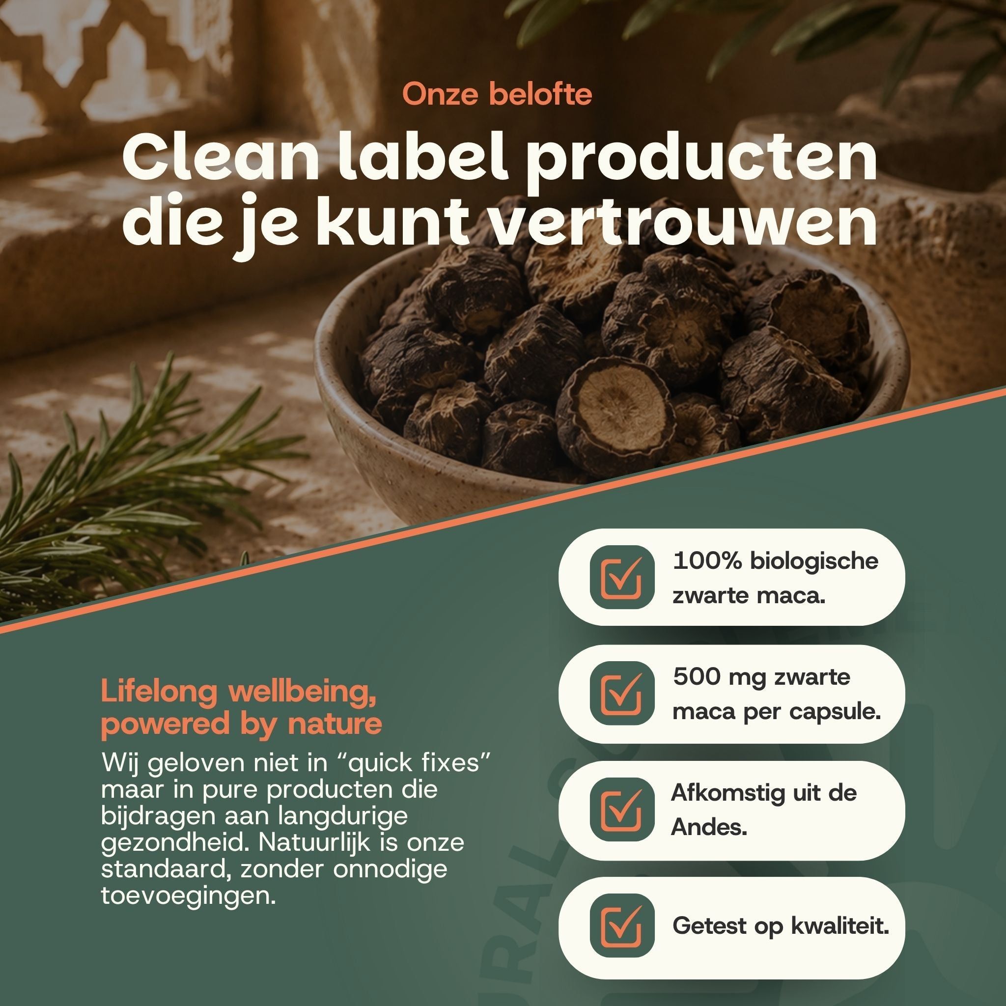 Schaal met zwarte maca wortels, met een lijst met productkenmerken zoals 100% biologisch en 500 mg per capsule.
