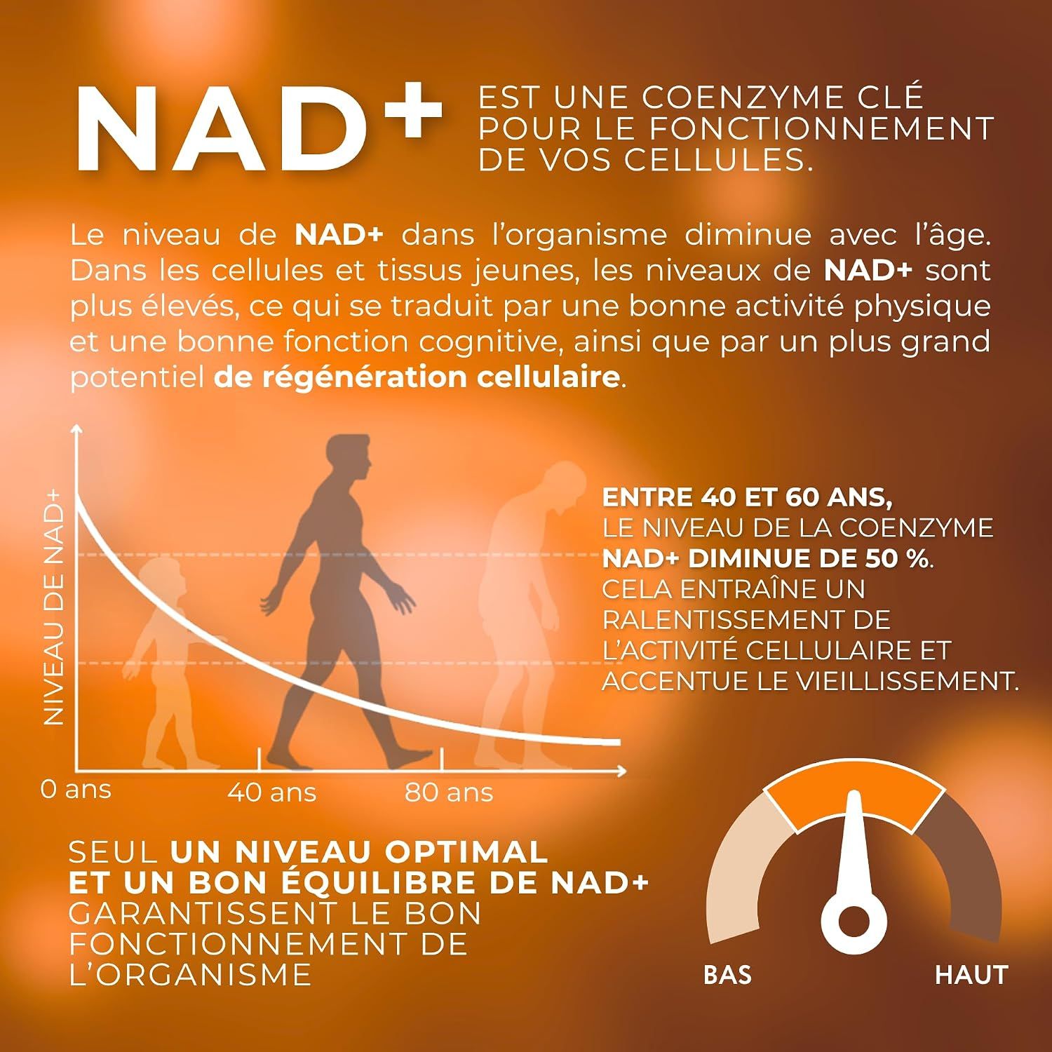 Infographie expliquant le NAD+ comme coenzyme clé pour la fonction cellulaire et le vieillissement, avec un graphique de la baisse du NAD+ avec l'âge.