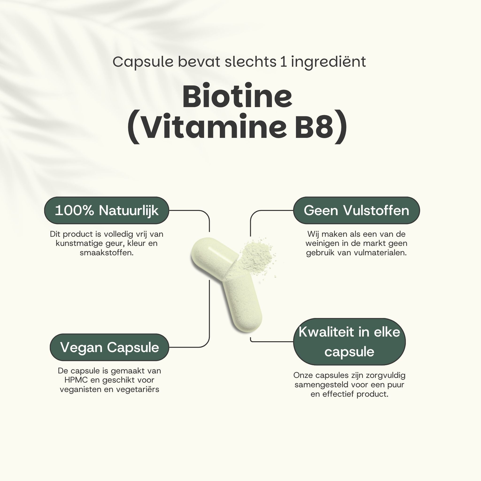 Twee capsules met tekst: Biotine (Vitamine B8). 100% natuurlijk, vegan capsule, geen vulstoffen, kwaliteit in elke capsule.