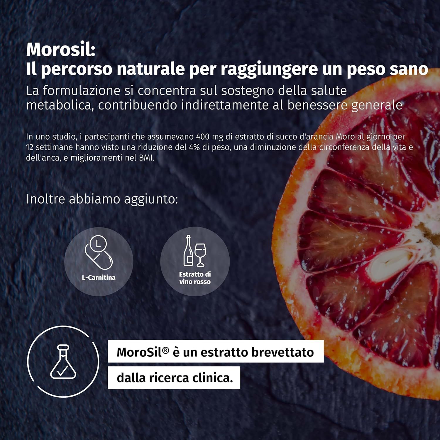 Infographie sur Morosil. Texte : Le chemin naturel vers un poids sain. L-Carnitine et extrait de vin rouge.