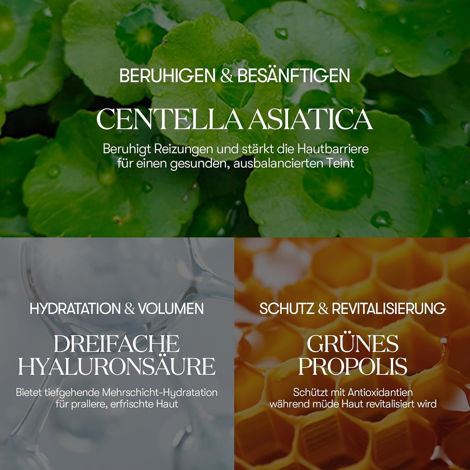 Close-up van bladeren. Tekst: Centella Asiatica, kalmeert en versterkt de huidbarrière. Drievoudig hyaluronzuur, groene propolis.