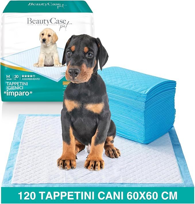 Paquet de 120 coussinets absorbants pour chiens, 60x60 cm. Un chiot est assis sur un coussinet, à côté d'une pile de coussinets bleus. Un chien est représenté sur l'emballage.