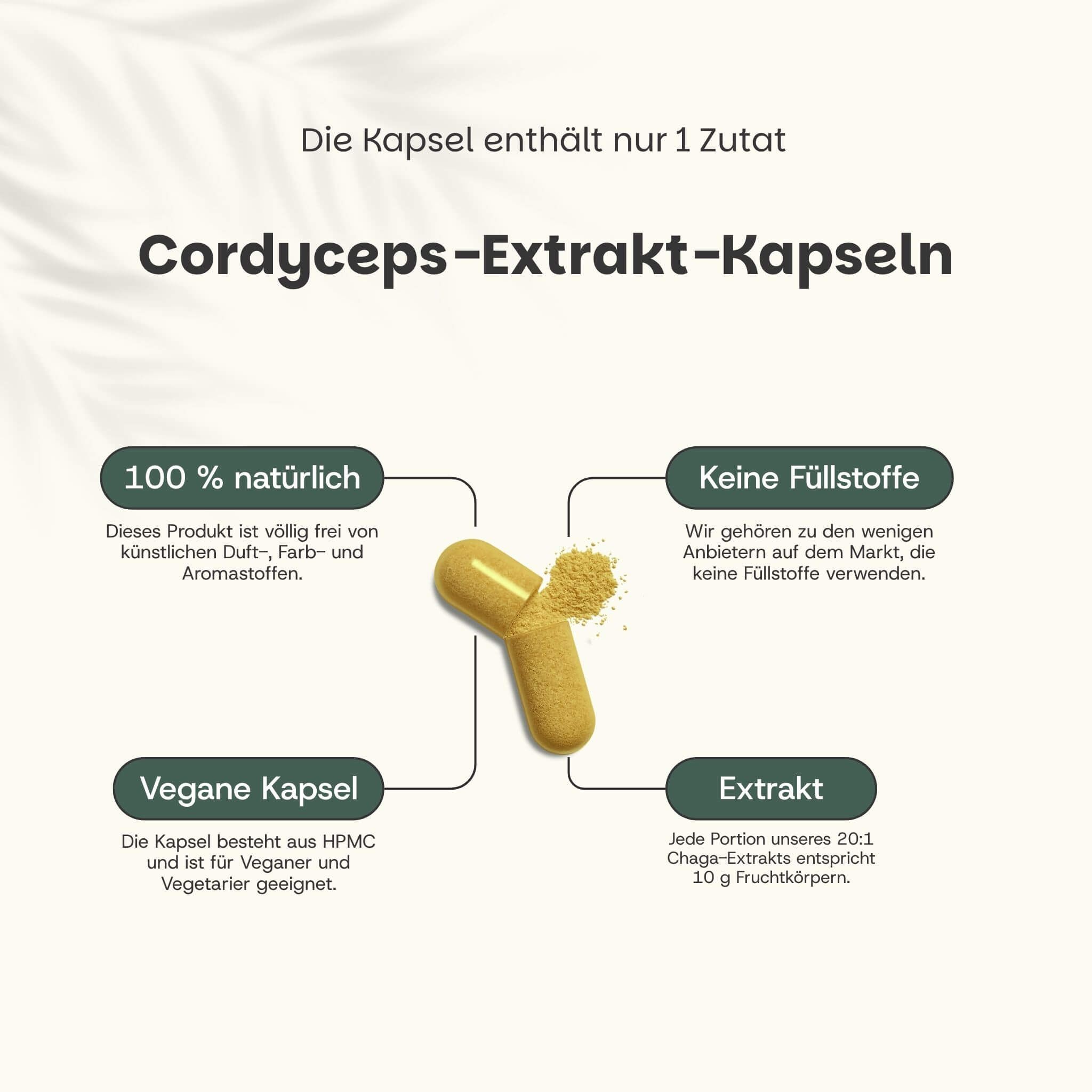 Une capsule jaune d'extrait de Cordyceps, avec une poudre à côté. Informations sur les ingrédients et les propriétés.