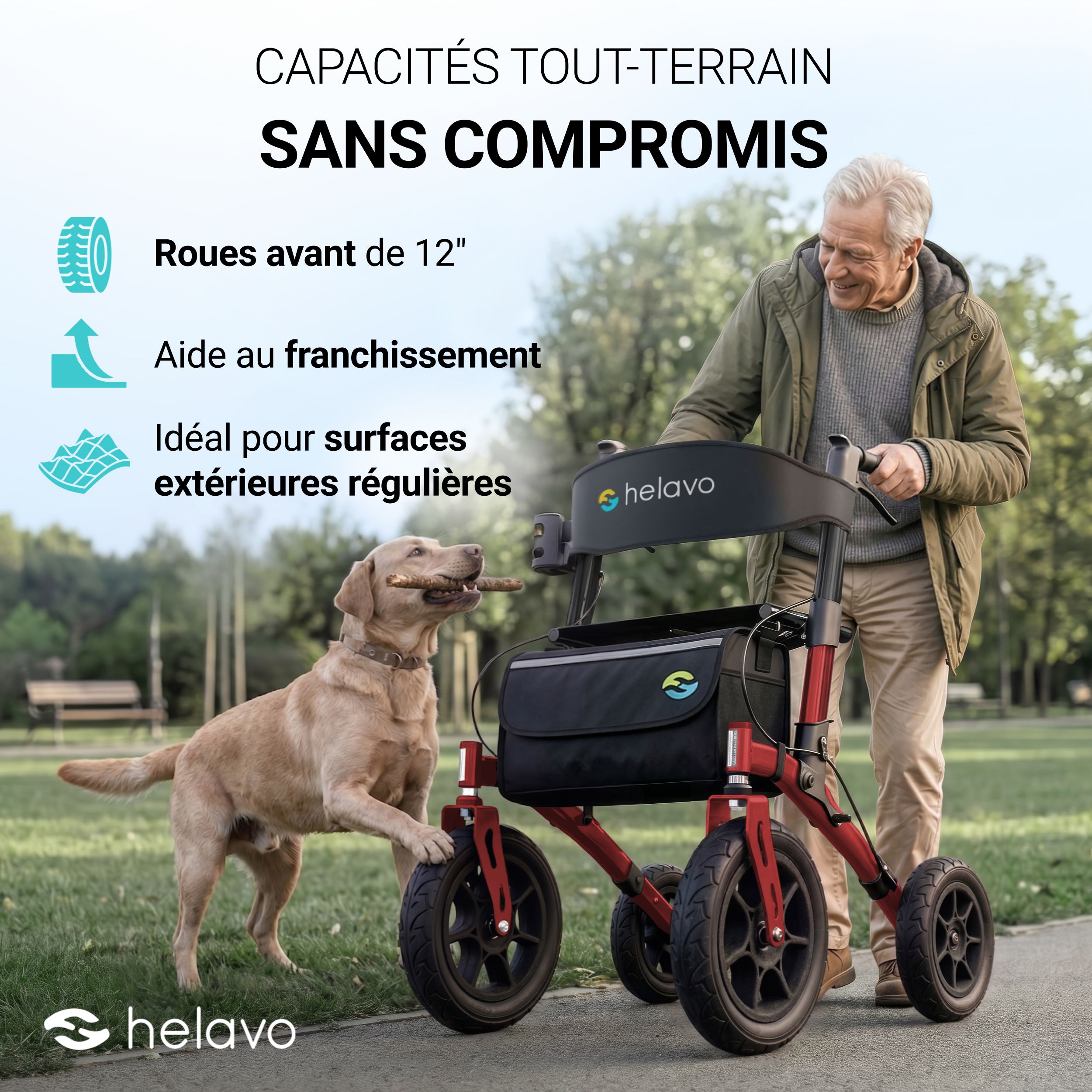 Helavo Déambulateur d'extérieur avec roues en caoutchouc plein et siege pliable 9,5kg
