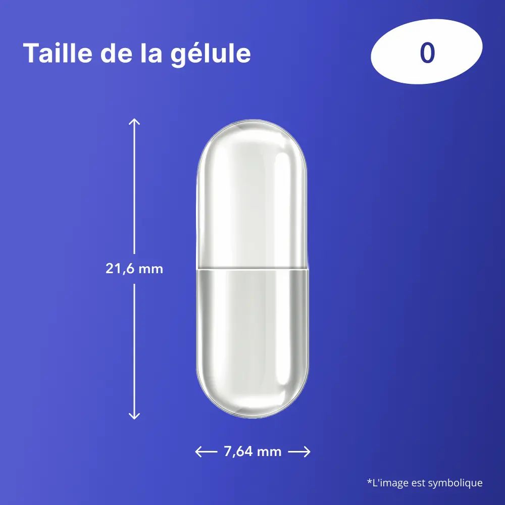 Gélule transparente, avec dimensions : 21,6 mm x 7,64 mm. Taille 0.
