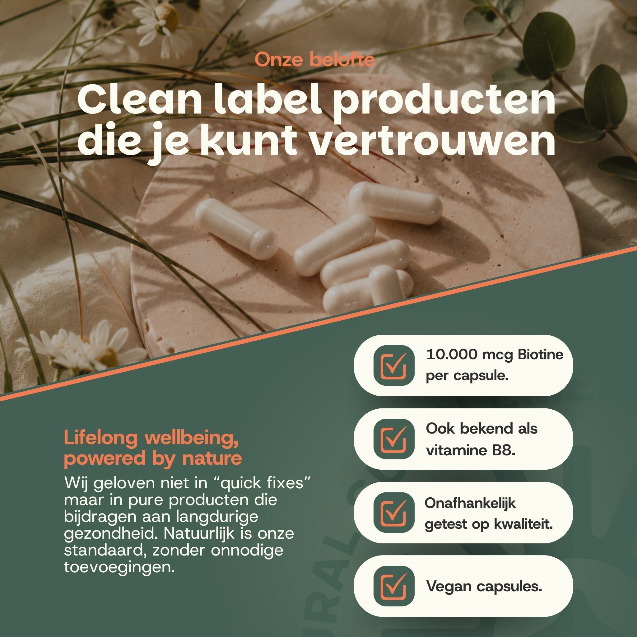 Witte capsules op een houten onderzetter, omringd door natuurlijke motieven en tekst over 'Clean Label producten'.