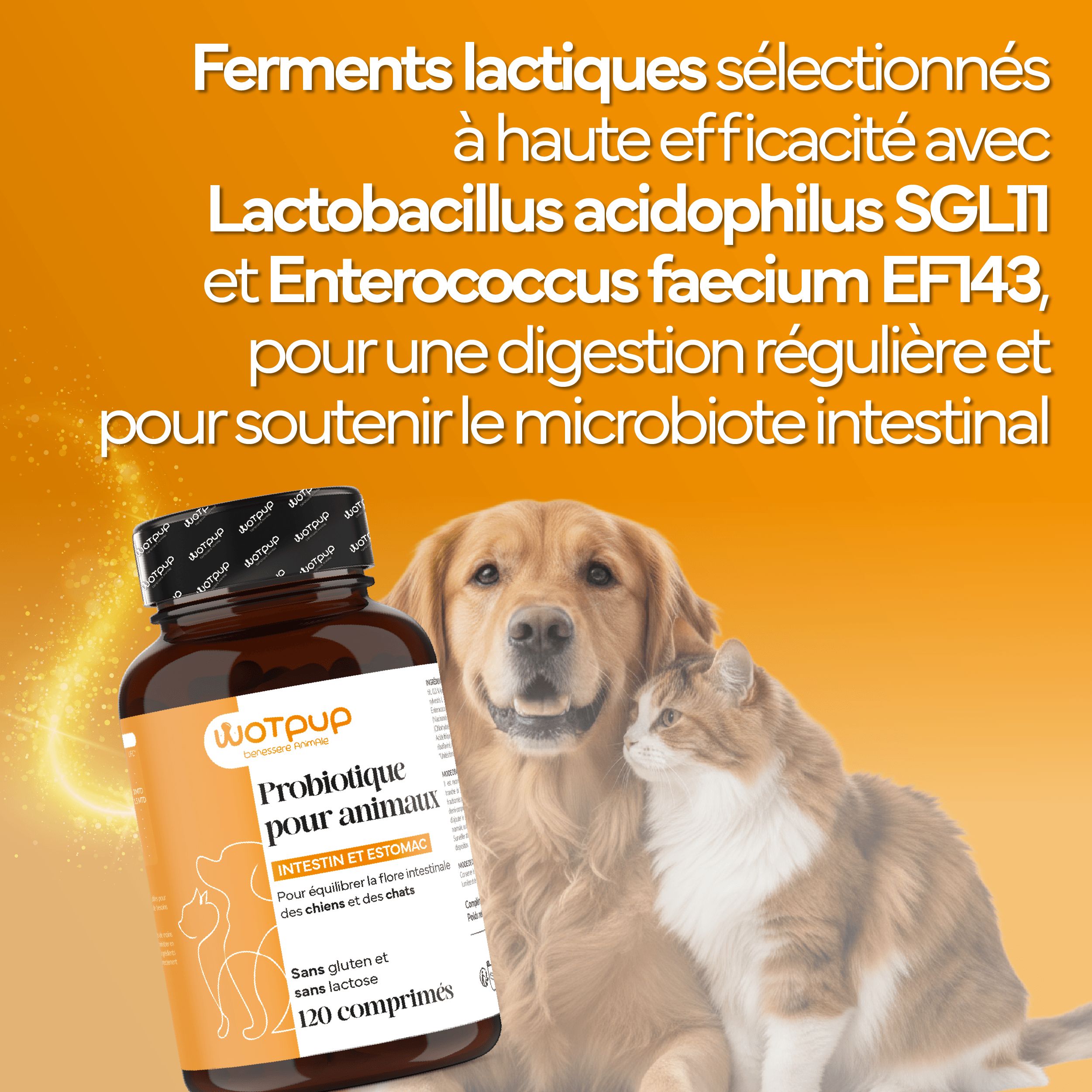 LA.GA© Probiotiques Chiens & Chats: Digestion, Allergies et Immunité. Qualité Italienne.