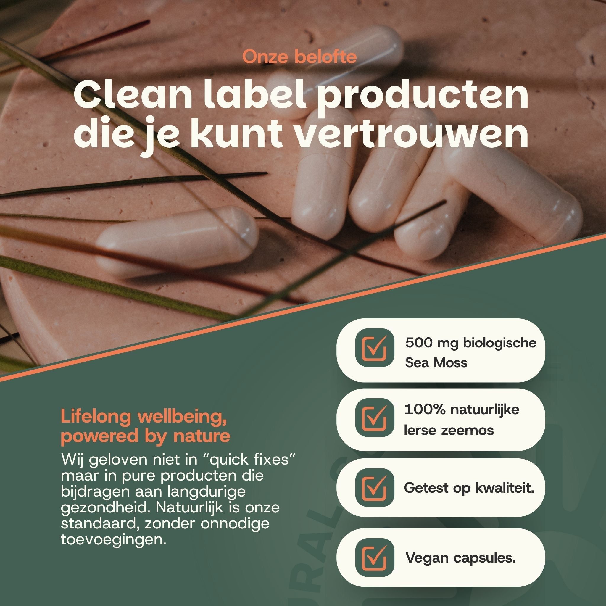 Ingrediëntenoverzicht: Biologische zeemos 500 mg per capsule. HPMC-capsule. Certificeringen: FSSC, zuivelvrij, veganistisch, geen toegevoegde suikers, gemaakt in NL, glutenvrij, 3rd Party Tested, Lab Tested.