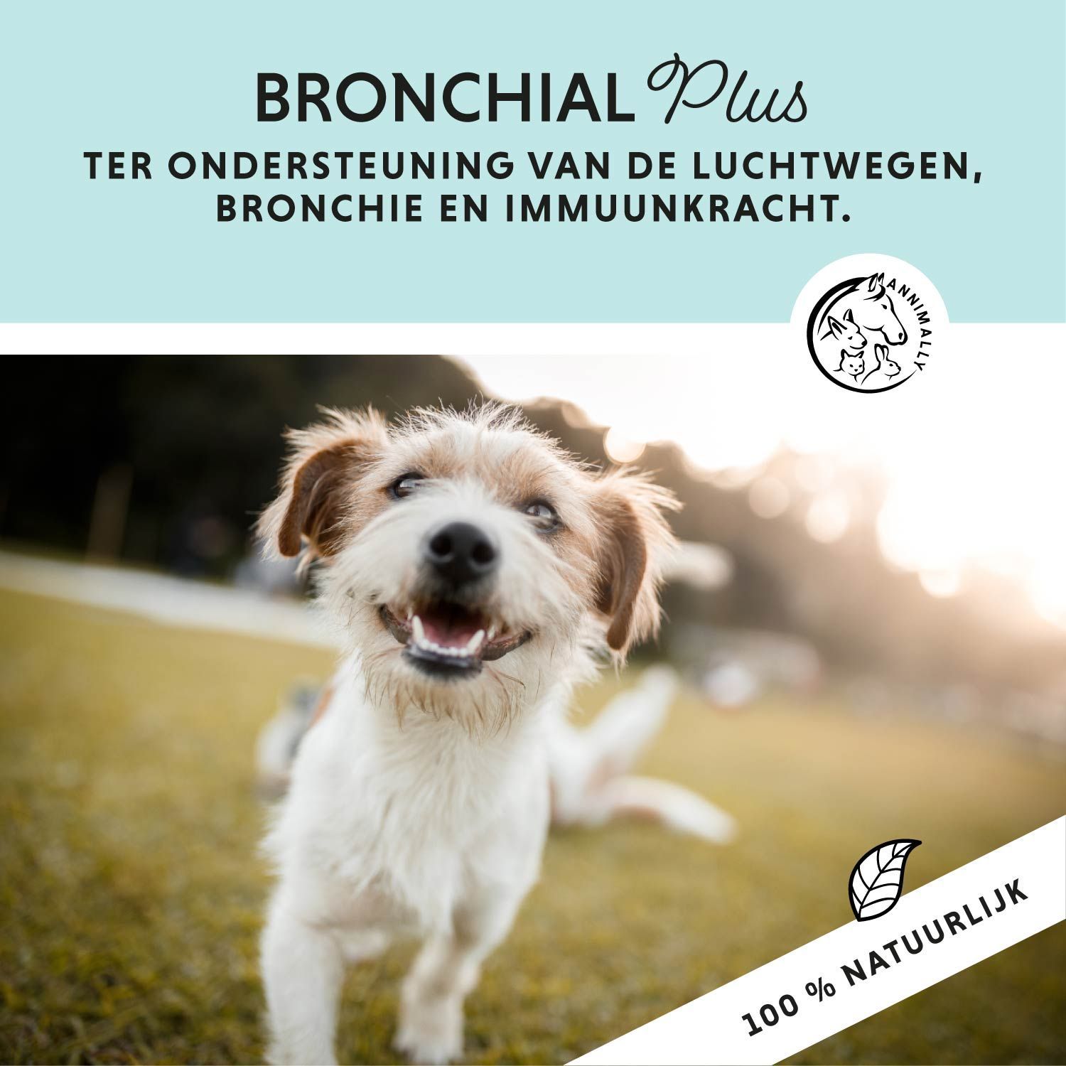 Tekst op blauwe achtergrond. Bronchial Plus ter ondersteuning van de luchtwegen. Hond in beeld. 100% natuurlijk.