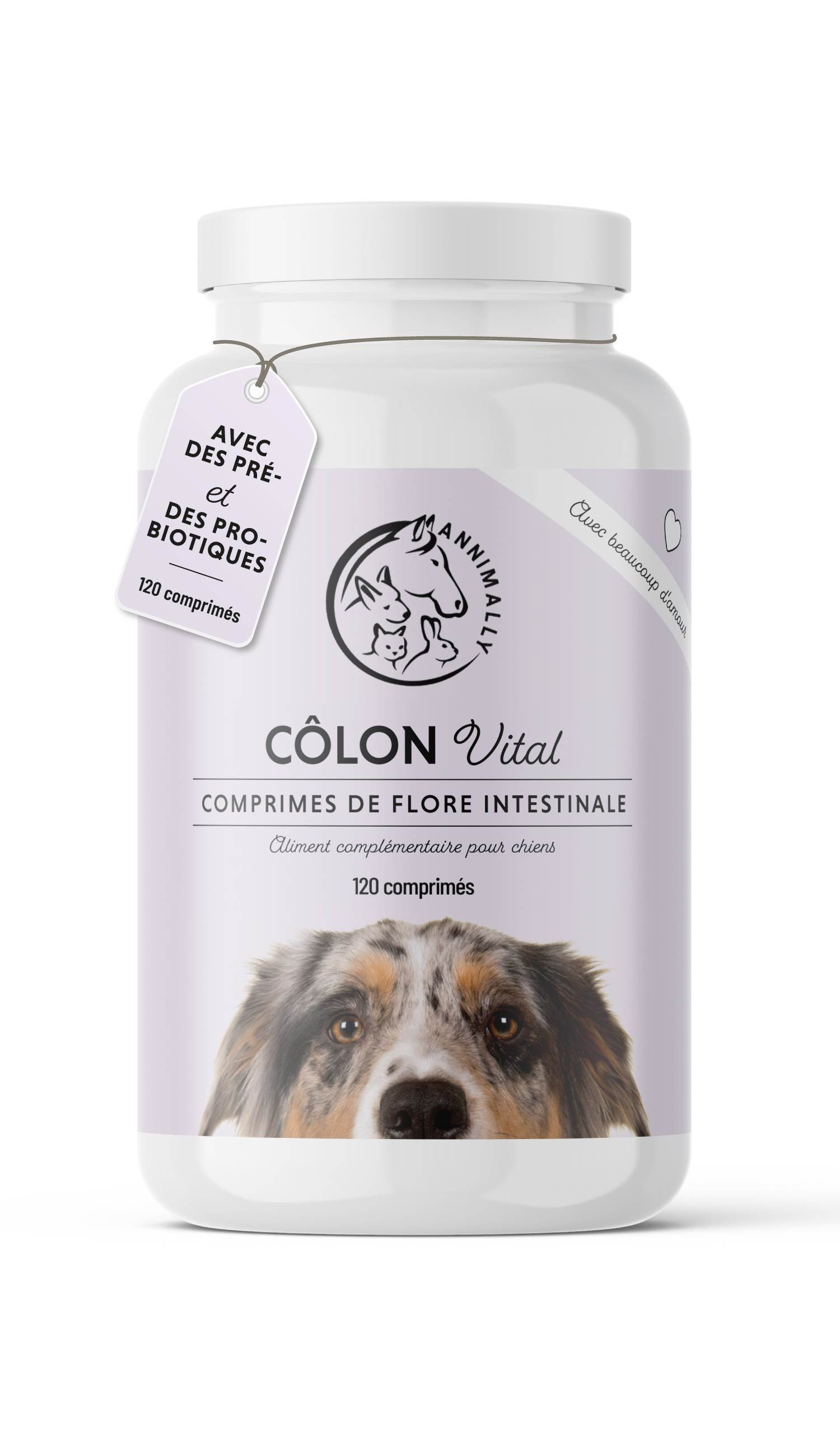 Flacon blanc de comprimés. Inscription: CÔLON Vital, comprimés de flore intestinale. 120 comprimés. Chien.