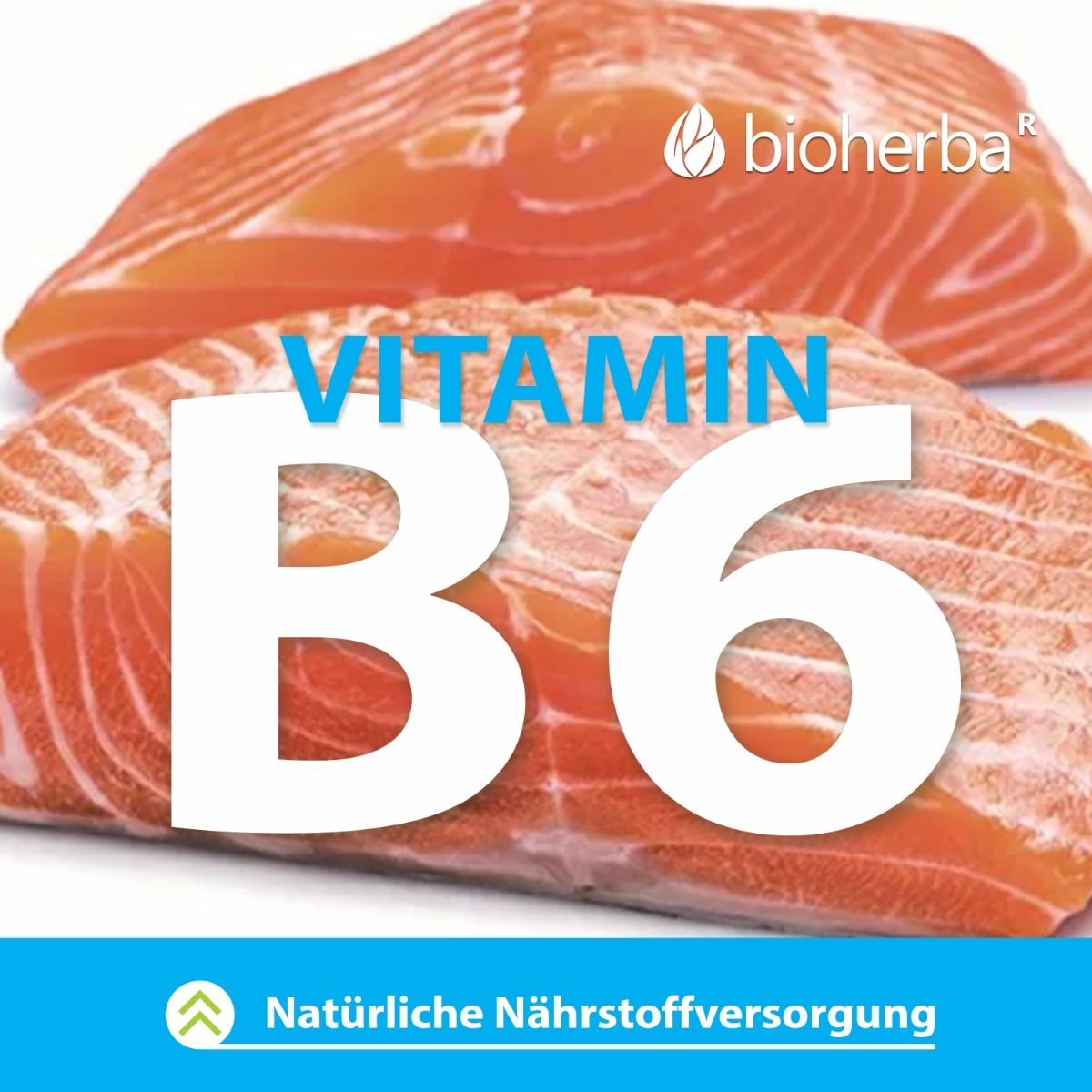 Zalmfilets met tekst: Vitamine B6. Tekst: Natuurlijke voedingsstoffen. Bioherba logo.