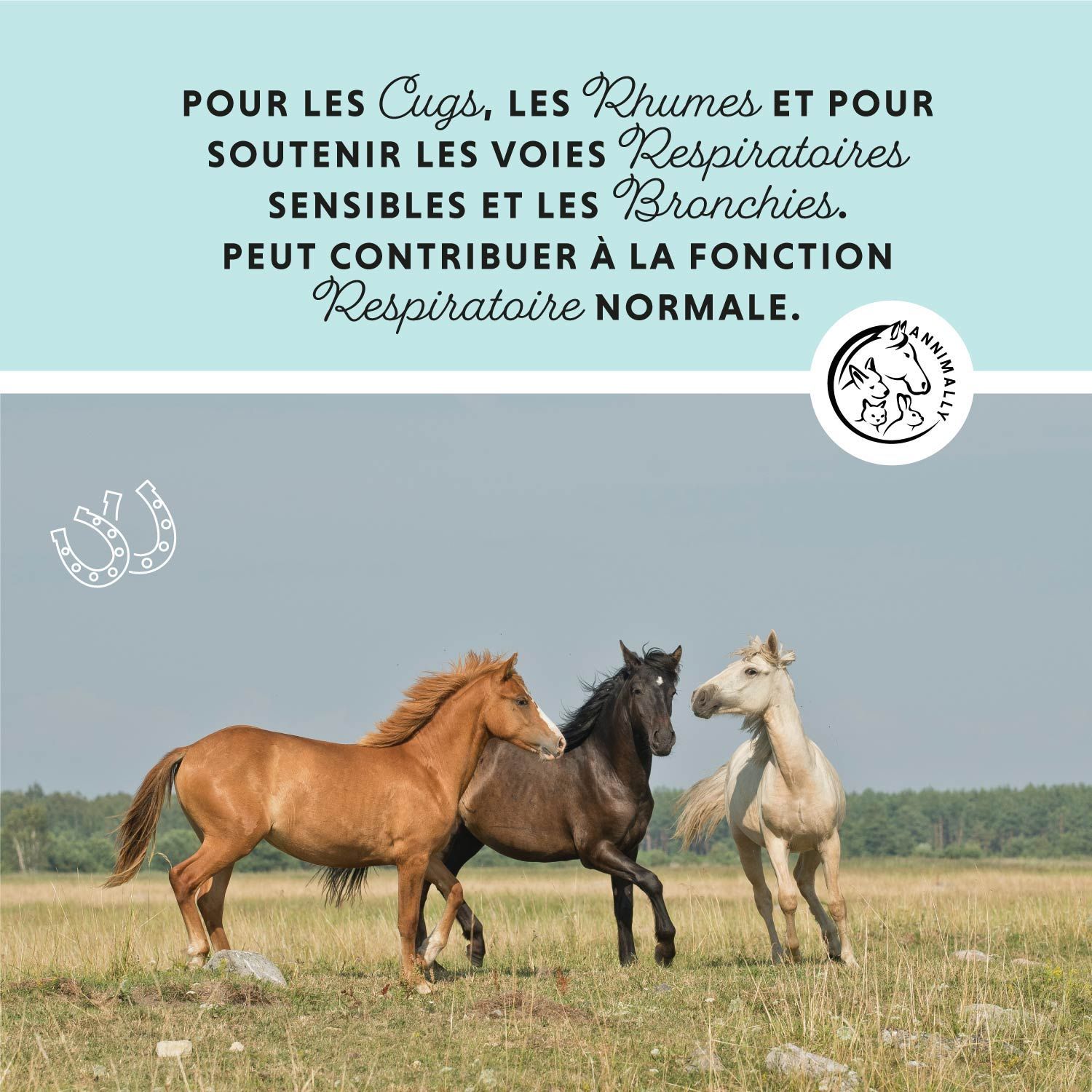 Trois chevaux dans un champ. Texte: Pour la toux, le rhume et pour soutenir les voies respiratoires et les bronches.
