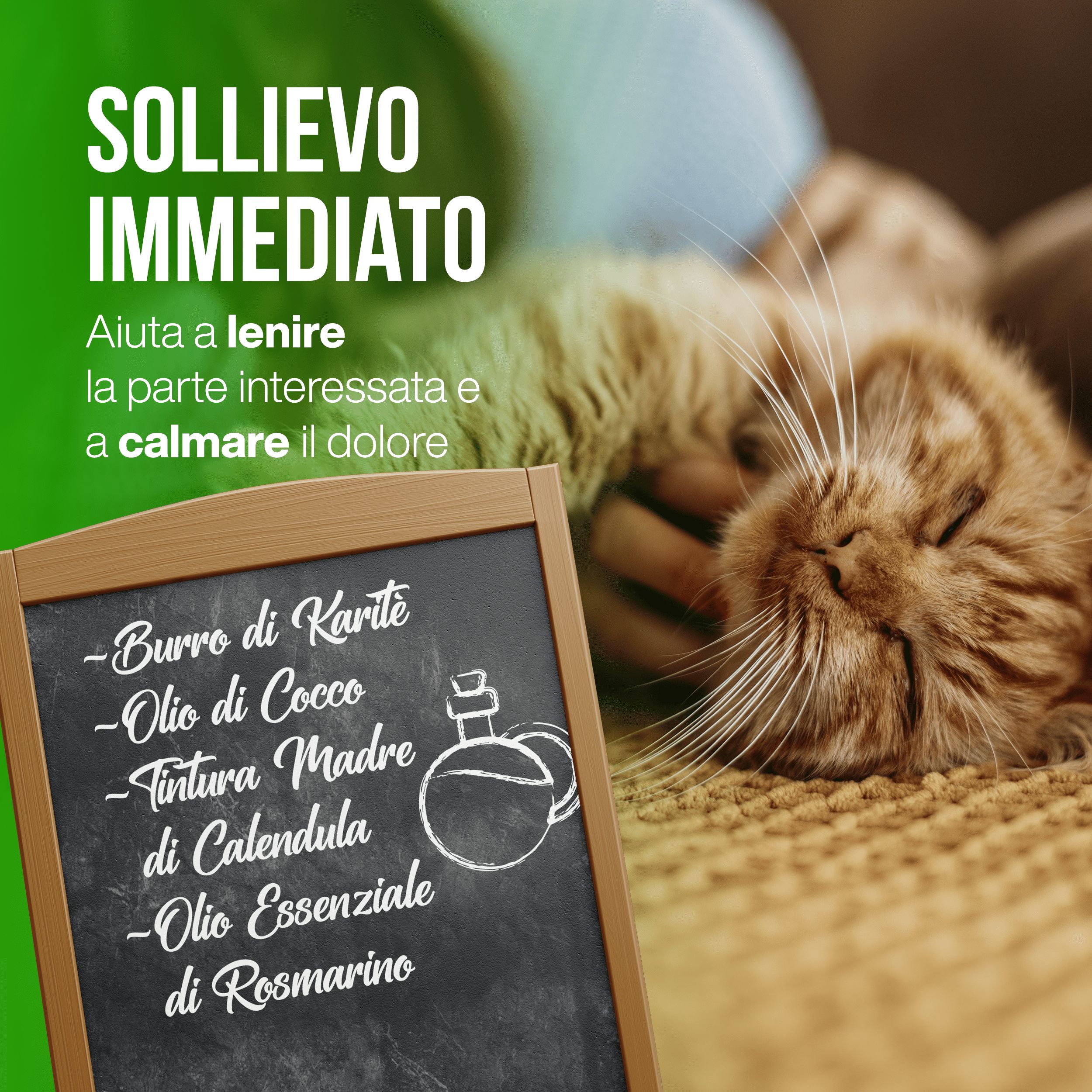 LA.GA Petbalm – Baume Protecteur pour Coussinets et Truffe – Chiens et Chats