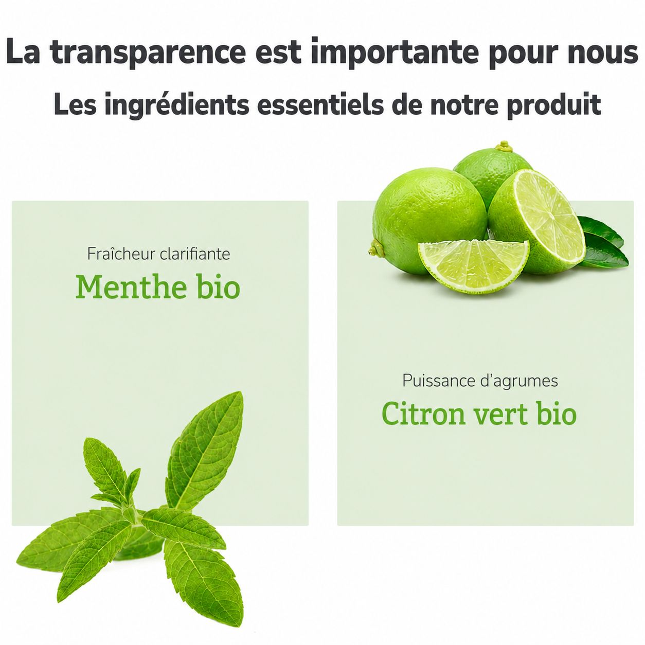 Bouteille de shampooing Lavera Frische & Balance avec indications sur menthe bio et citron vert bio. Texte en allemand et français.