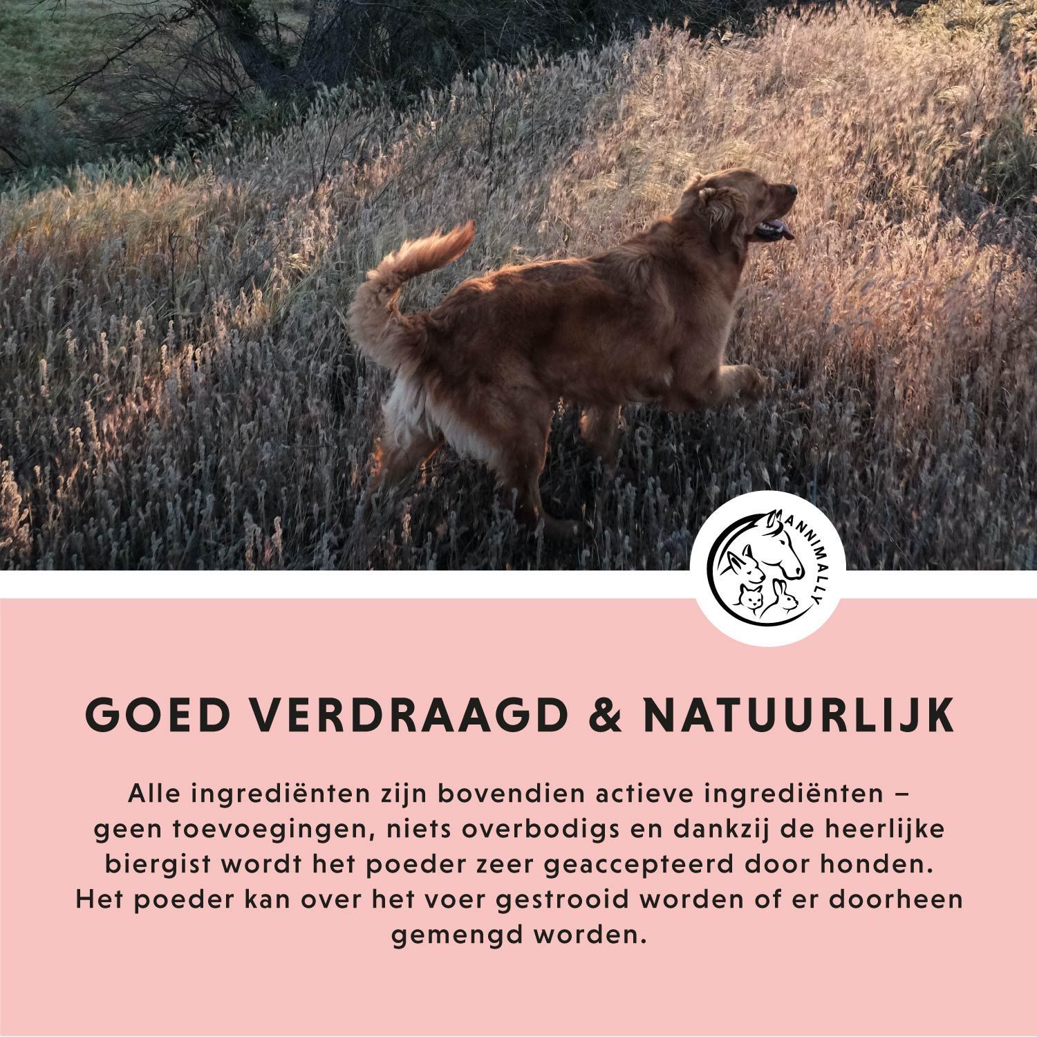 Tekst op roze achtergrond. Tekst: Goed verdraagbaar en natuurlijk. Alle ingrediënten zijn actief.