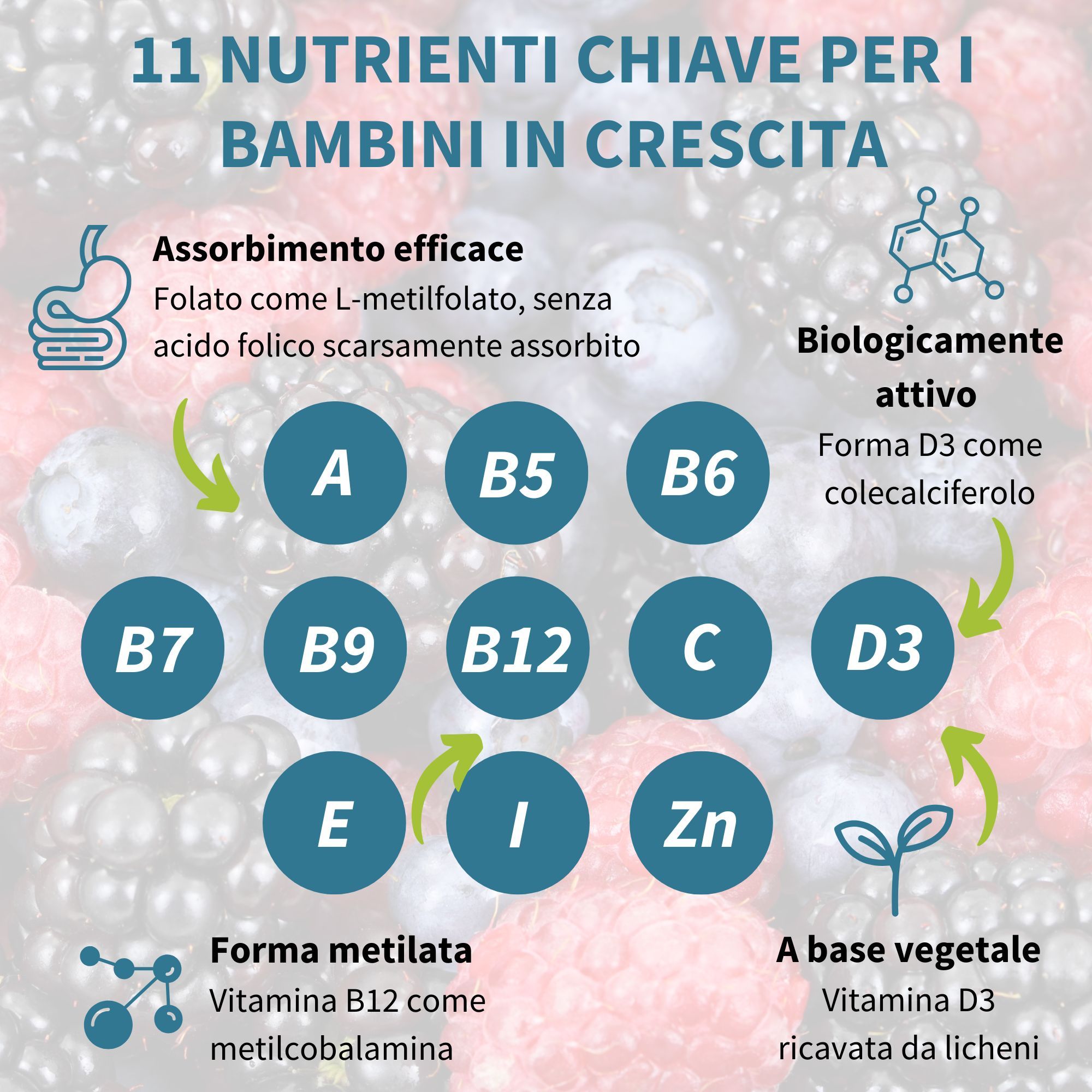 Graphique avec 11 nutriments pour enfants. Vitamines A, B5, B6, B7, B9, B12, C, D3, E, I, Zn. L-méthylfolate, méthylcobalamine, D3 de lichen.
