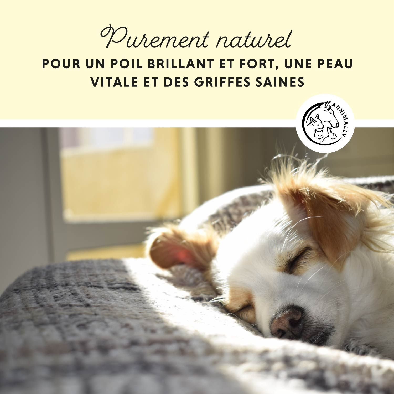 Chien dormant sur une couverture. Texte : Pour un pelage brillant, une peau vitale et des griffes saines. Logo.
