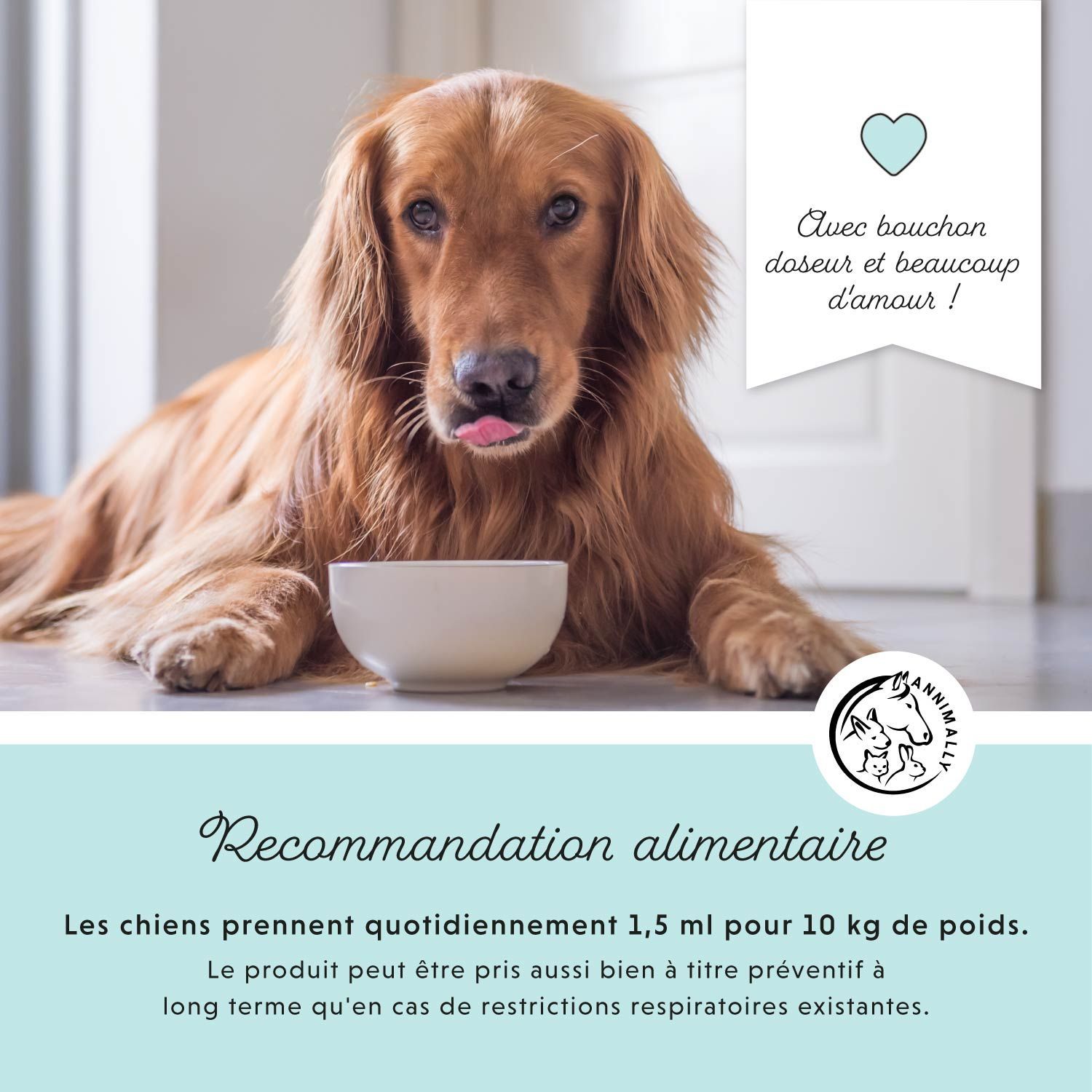 Golden Retriever avec bol. Texte: Recommandation alimentaire. Le produit peut être utilisé en prévention.