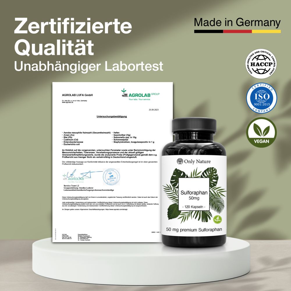 Boîte de gélules Nattokinase à côté d'un certificat d'analyse. Sceaux : 'HACCP', 'ISO 9001', 'Vegan'.
