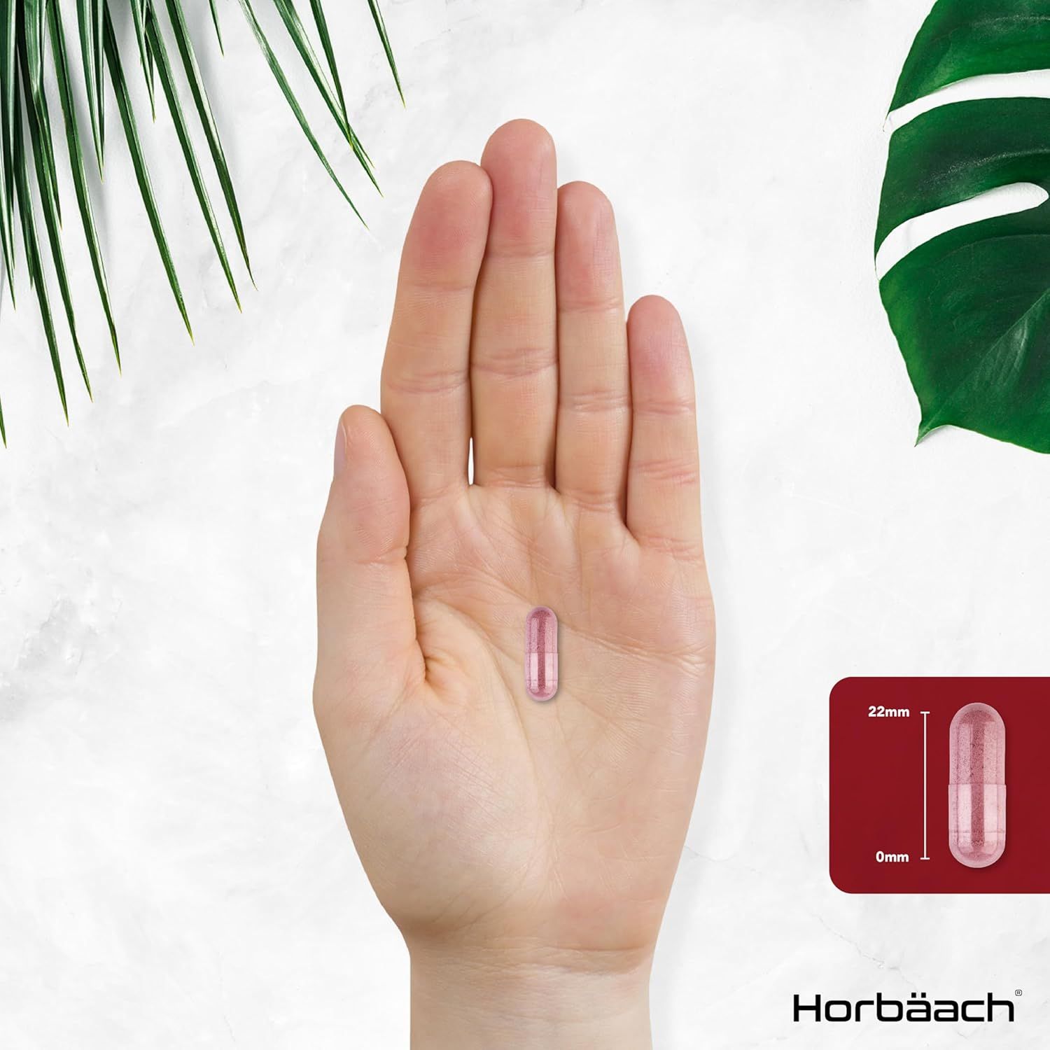 Een enkele, transparante capsule in een hand. Afmetingen: 22mm x 6mm. Opschrift: Horbaach.