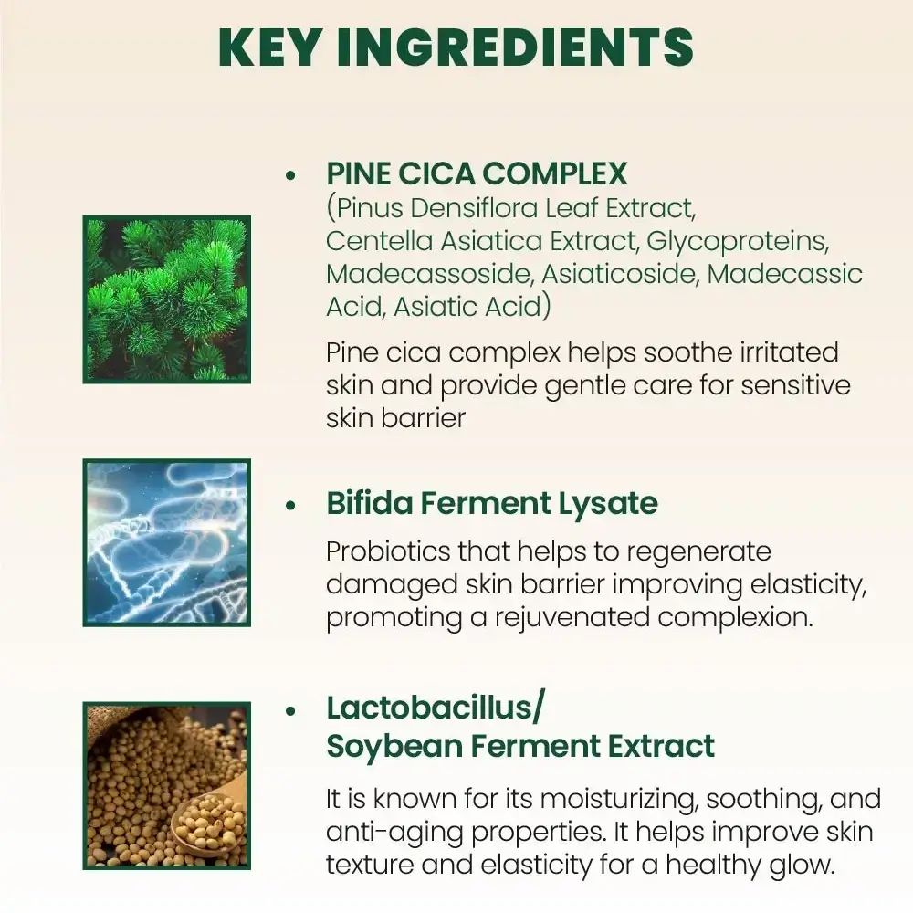 Tableau de texte avec ingrédients : Pine Cica, Bifida Ferment Lysate, Lactobacillus/Soybean Ferment Extract.