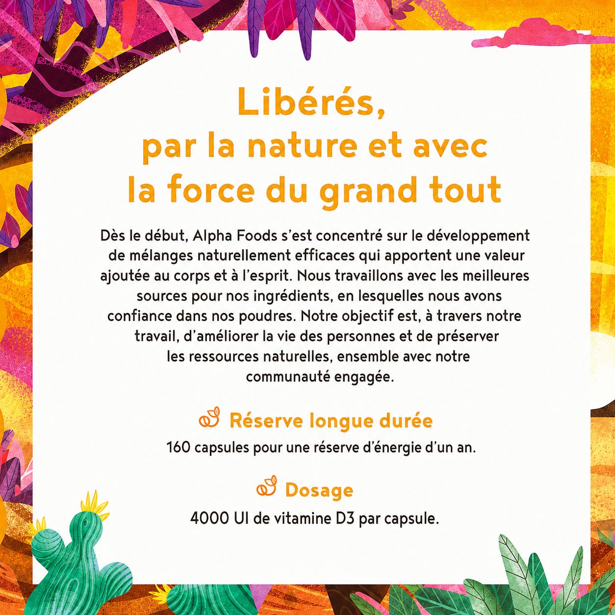 Trois bouteilles de produits Alpha Foods, incluant Sonnen Vitamine.