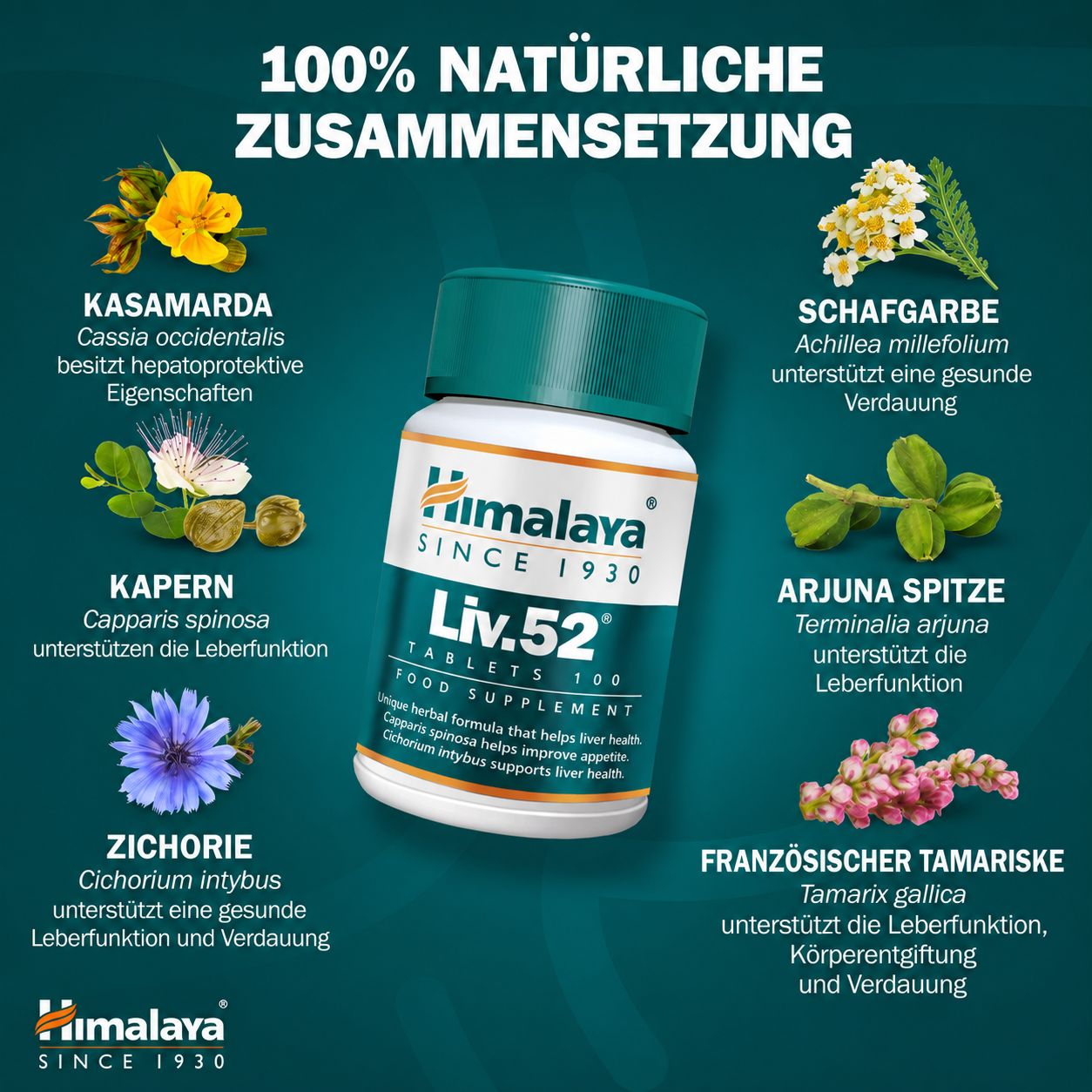 Himalaya Liv.52 Tabletten: Fles omringd door 8 Ayurvedische kruiden.