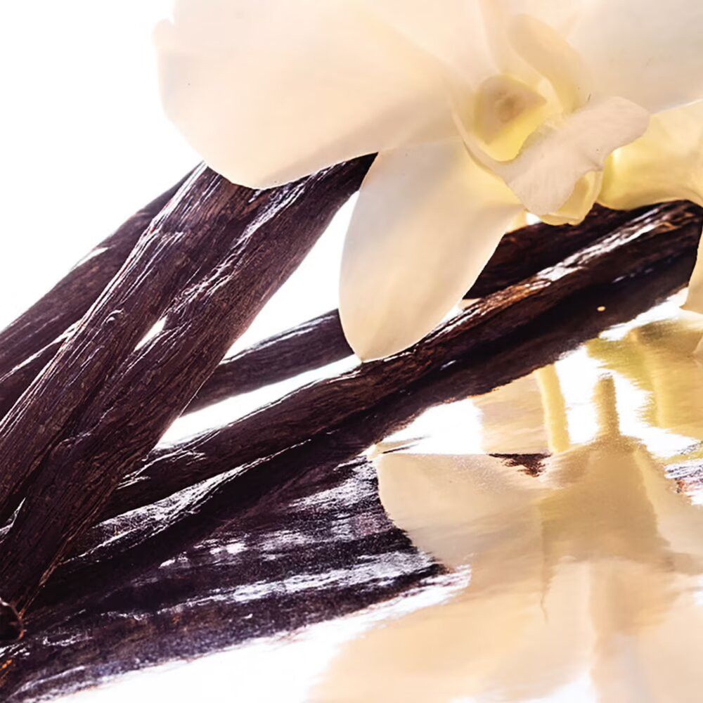 Close-up van vanillestokjes en een witte orchidee. Lichte reflecties op glad oppervlak.